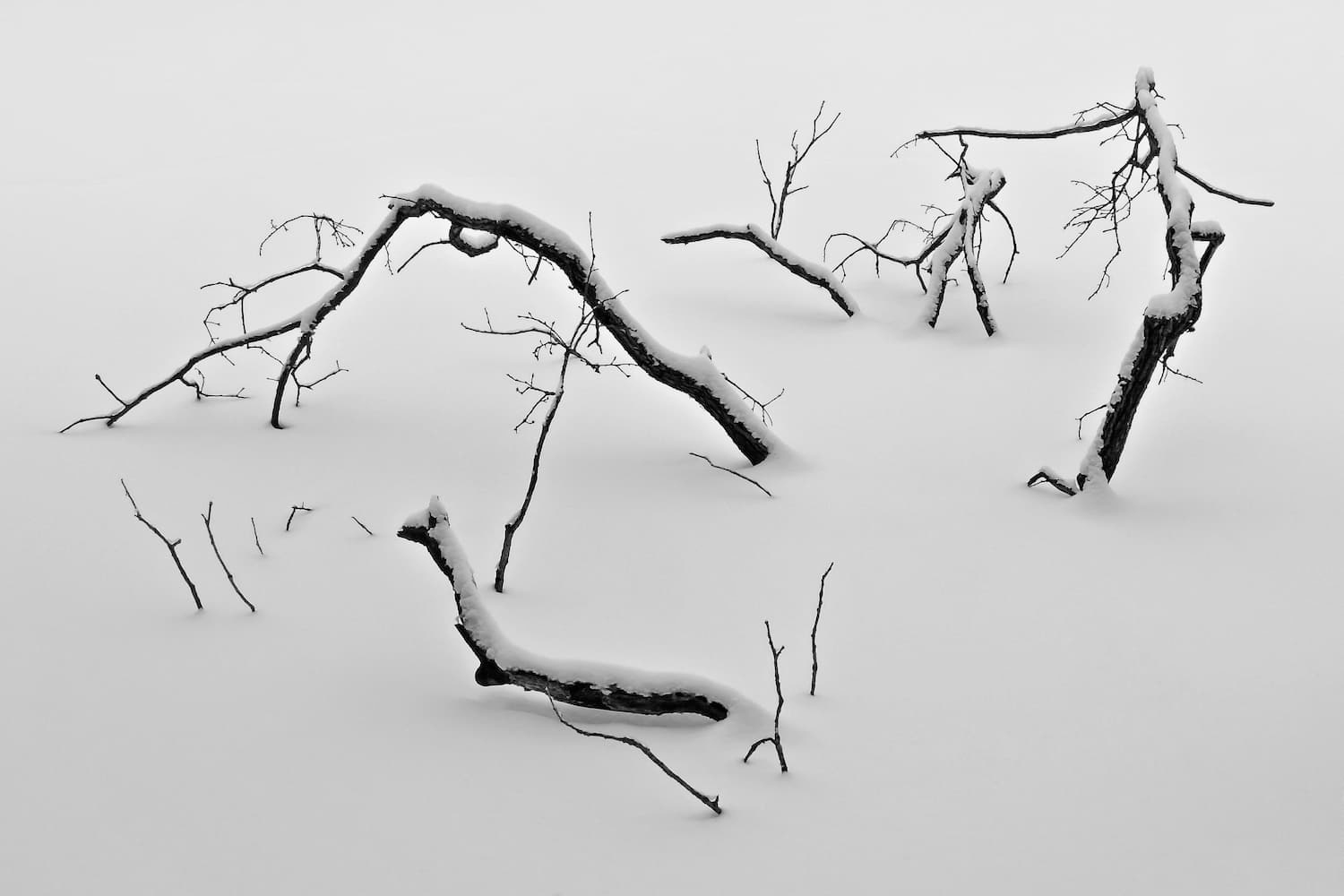 5 No-Code Web Development Tools to Build Your SaaS MVP